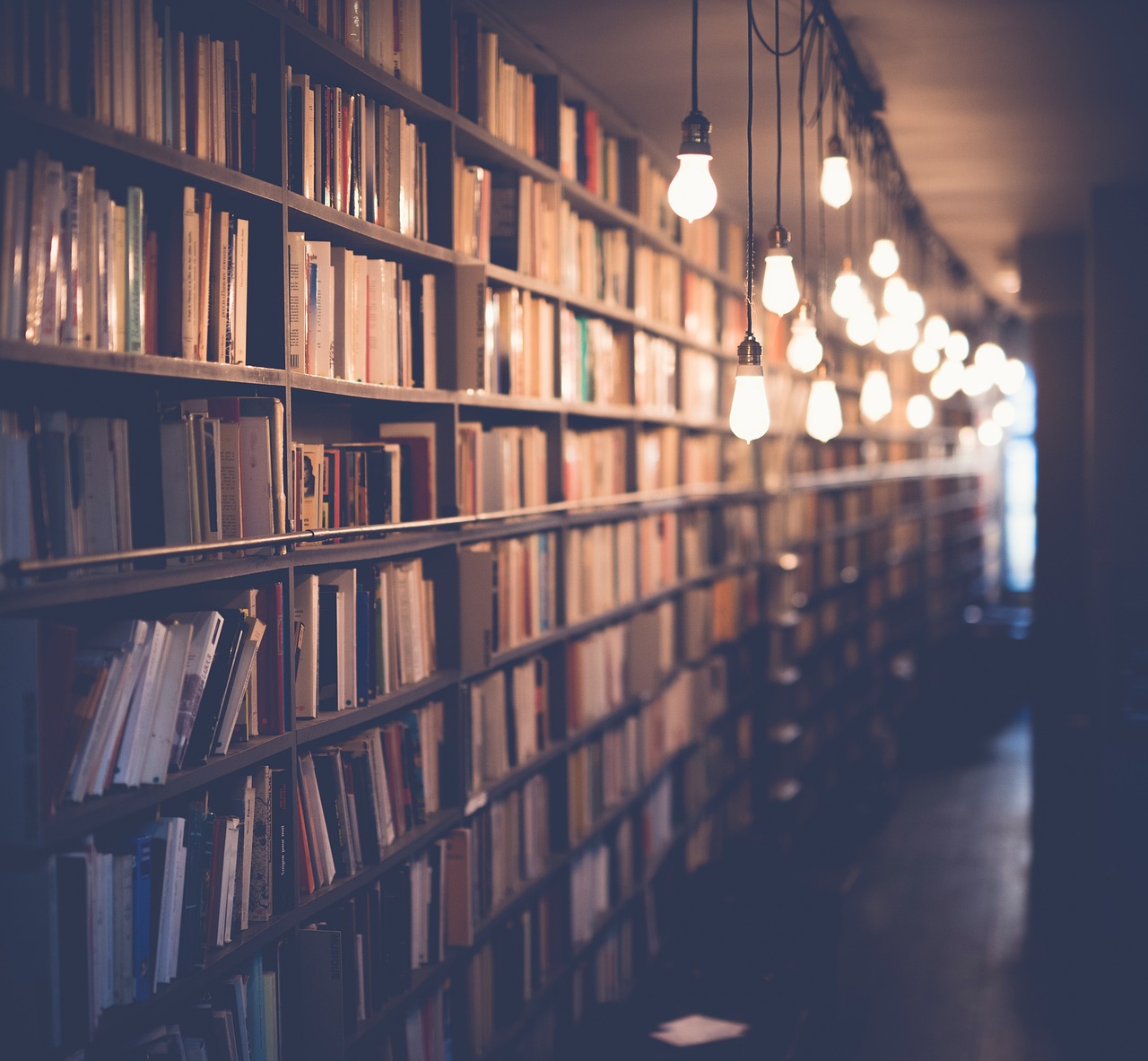 découvrez l'éducation durable : une approche innovante pour former les citoyens de demain tout en préservant les ressources de notre planète.