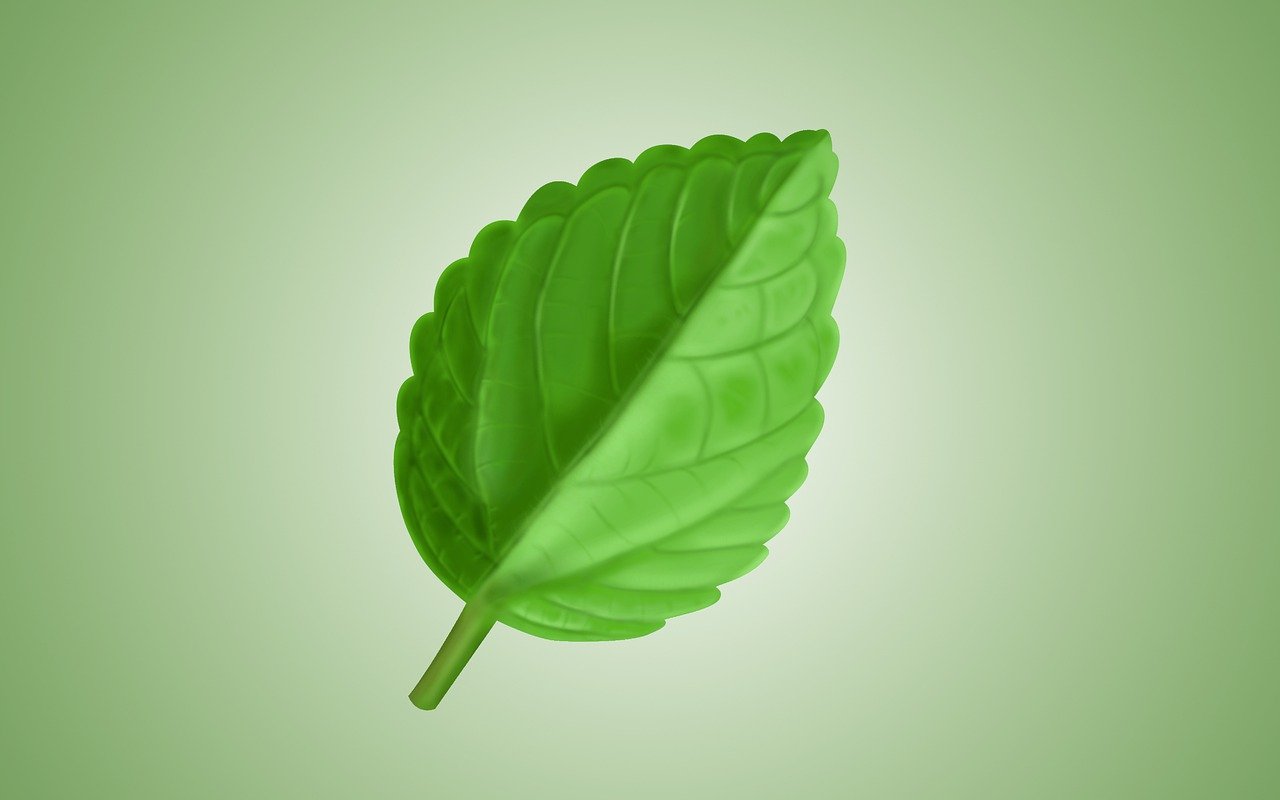 découvrez notre initiative sportive éco-responsable qui allie performance et respect de l'environnement pour un avenir durable.