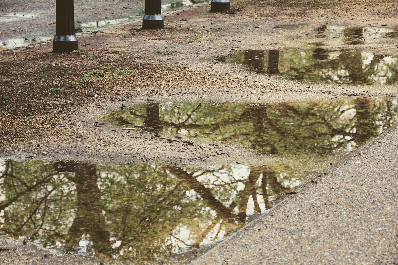 découvrez les méthodes efficaces de collecte et de gestion des eaux de pluie pour économiser l'eau et protéger l'environnement grâce à la récupération des eaux pluviales.