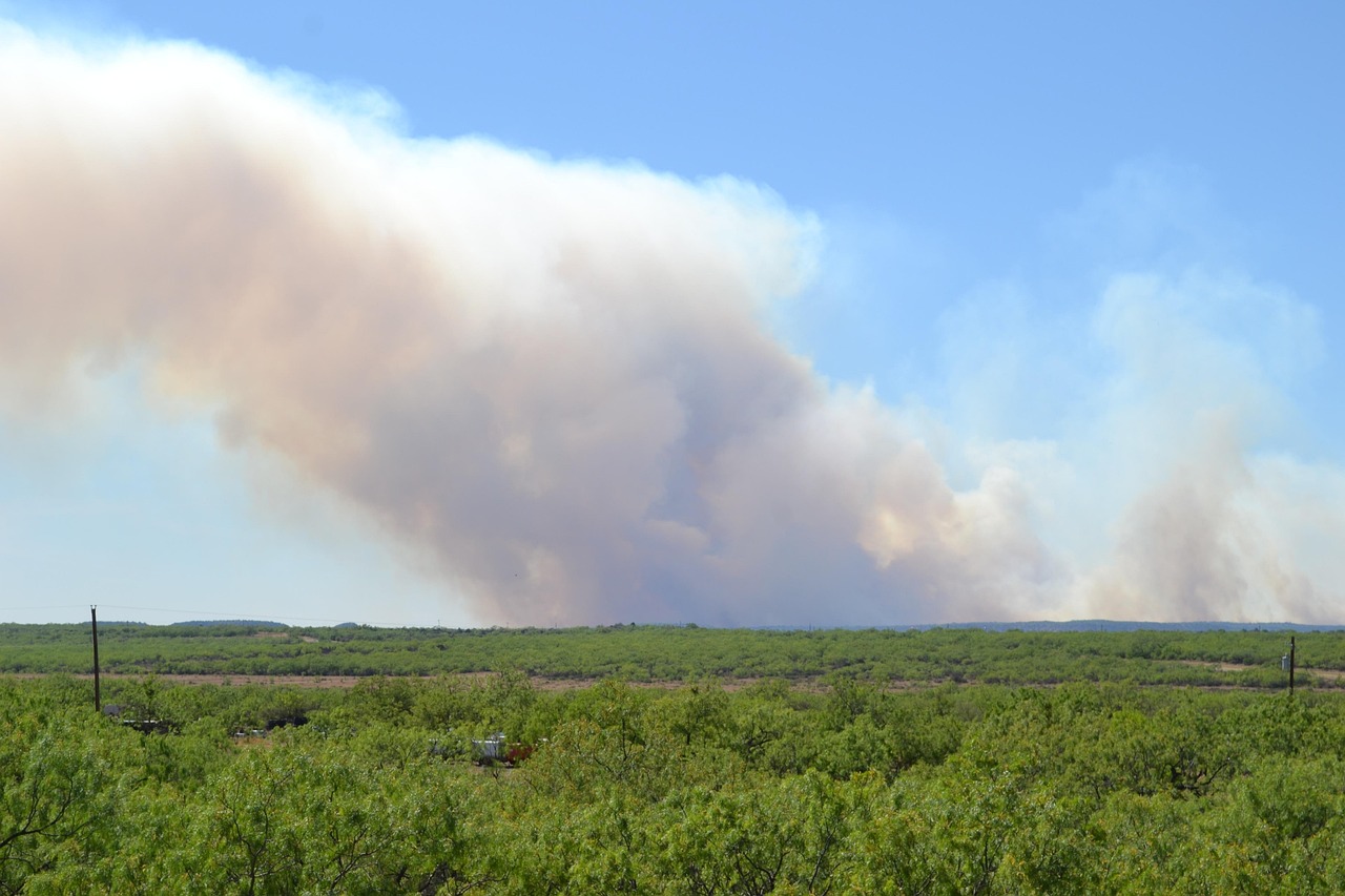 découvrez les causes, les impacts et les mesures de prévention des feux de forêt pour mieux comprendre et agir face à ce phénomène naturel dévastateur.