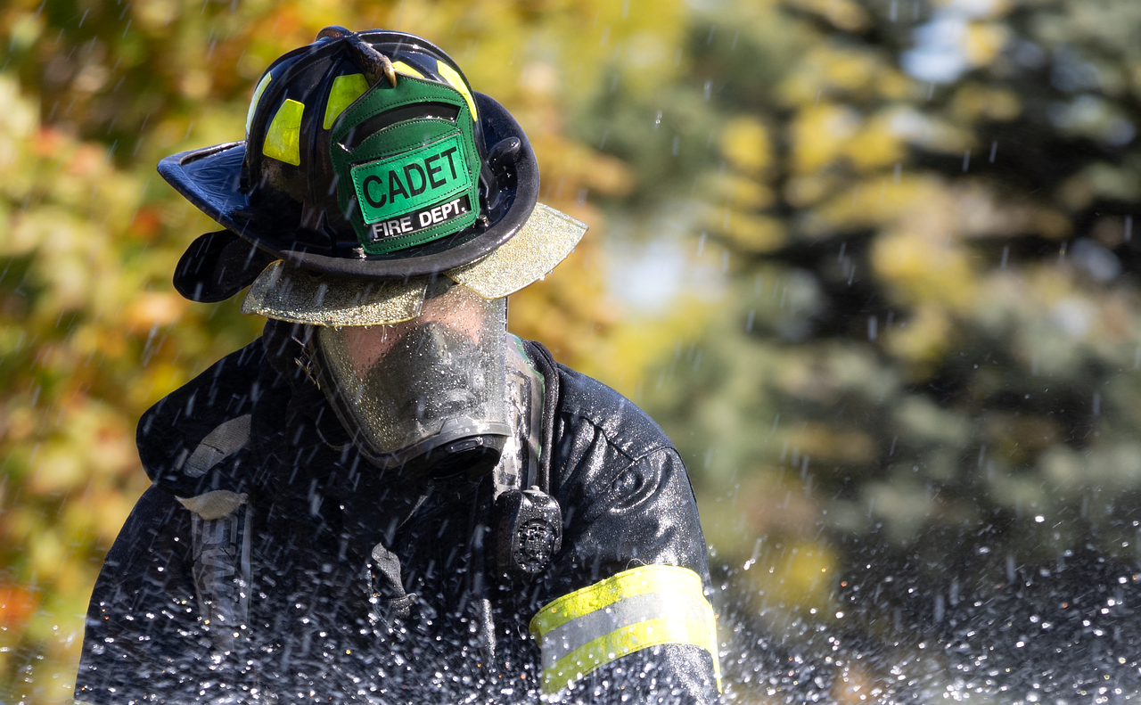 découvrez les causes, impacts et mesures de prévention des incendies de forêt. informez-vous sur la gestion et la protection des zones touchées par les feux sauvages.