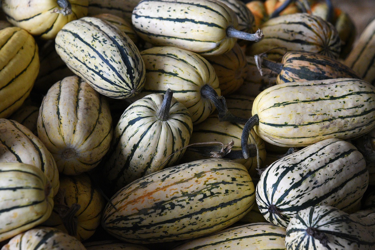 découvrez notre sélection de produits de saison frais et savoureux, pour des repas sains et gourmands tout au long de l'année.