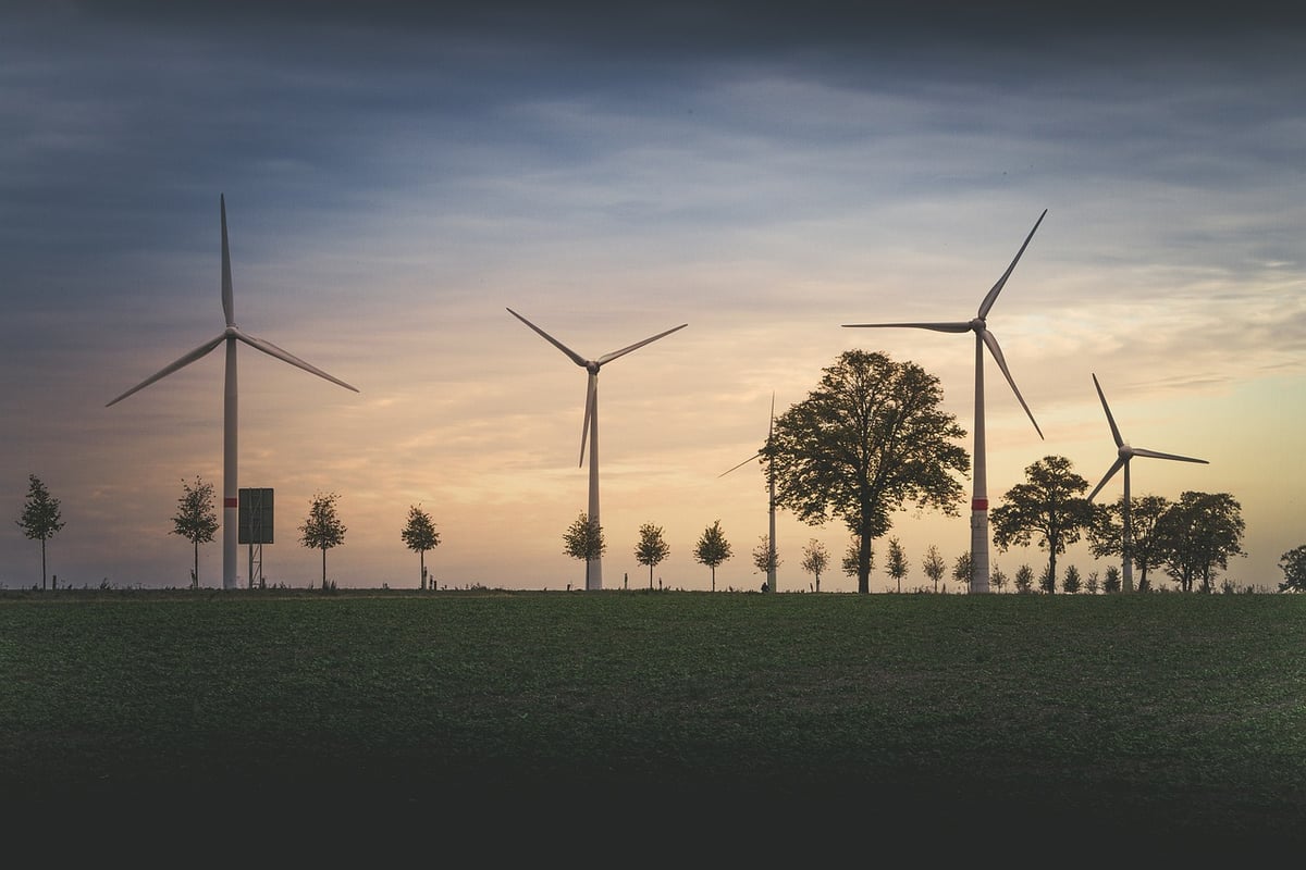 Bilan environnemental : évaluer l’impact de nos actions sur la planète