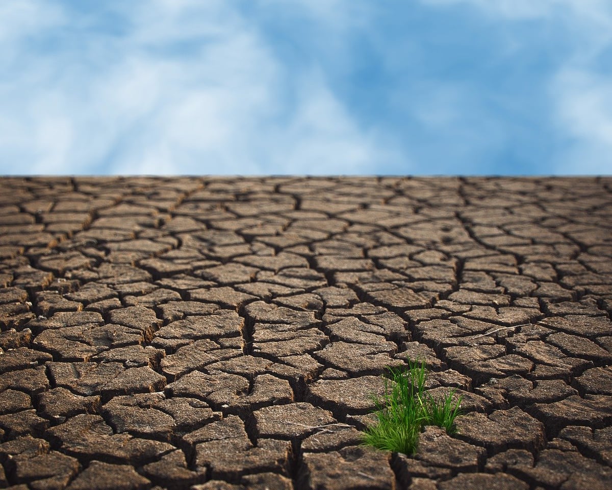 Le changement climatique et la protection des espèces menacées