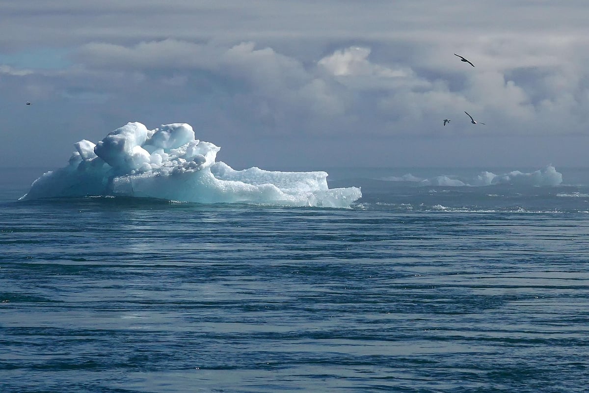 Des ateliers interactifs de ‘fresque climatique’ : un nouvel élan pour sensibiliser le monde à l’environnement