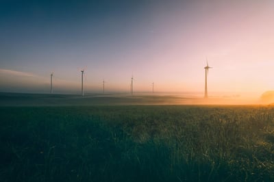 détails sur le label transition énergétique et écologique pour le climat