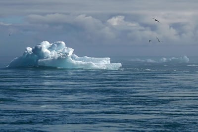 Litiges liés aux enjeux climatiques