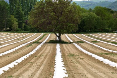 Les principes de l’agroécologie pour une agriculture durable