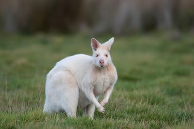 Les variations climatiques d’avril : Sont-elles liées au réchauffement climatique ?