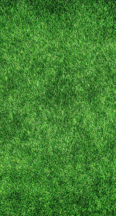 Hygiène écologique : conseils pratiques pour un quotidien sain et durable