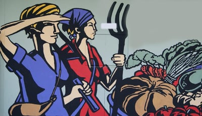 Une analyse critique de l’écoféminisme dans le domaine de la finance dédiée à la biodiversité
