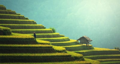 La Banque africaine de développement s’engage à la conférence sur le financement vert pour préserver la biodiversité et promouvoir un développement durable.