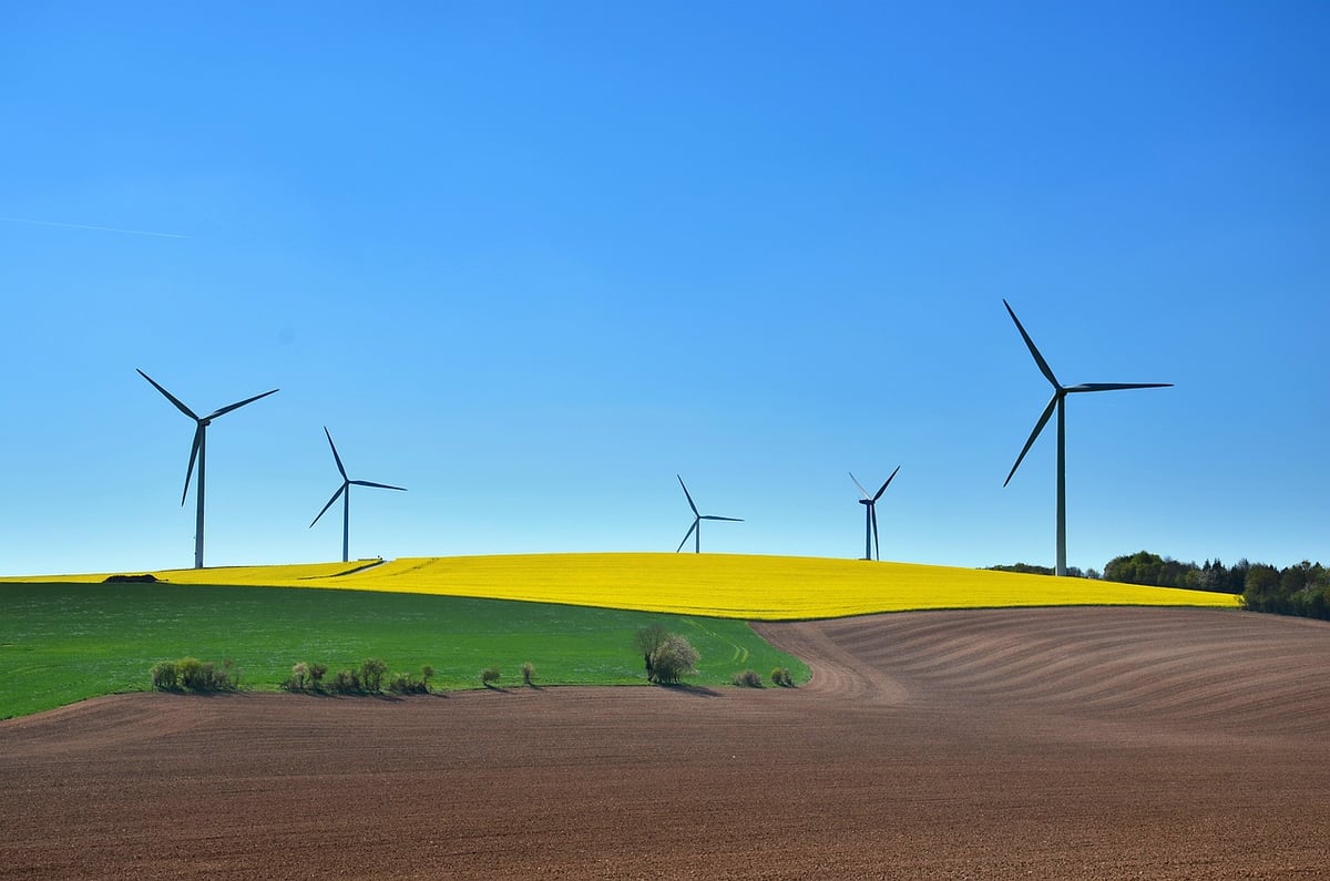 Sociétés durables : Comment les entreprises innovent pour un avenir éco-responsable