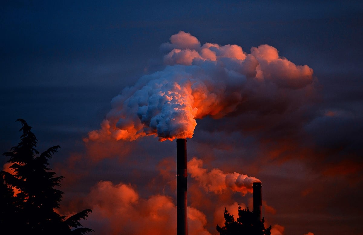 La pollution sonore et ses effets sur l’écologie