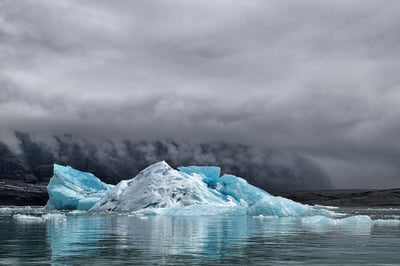 Changements climatiques et perte de biodiversité : les liens révélés par le rapport NEXUS