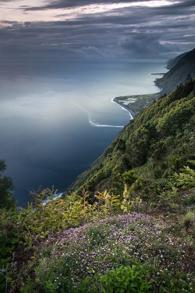 Conservation de la nature : Stratégies essentielles pour préserver notre biodiversité