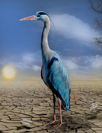 Changements Climatiques en Afrique du Sud : 21 Faits Étonnants sur la Dégradation Climatique dans le Pays de l’Arc-en-Ciel