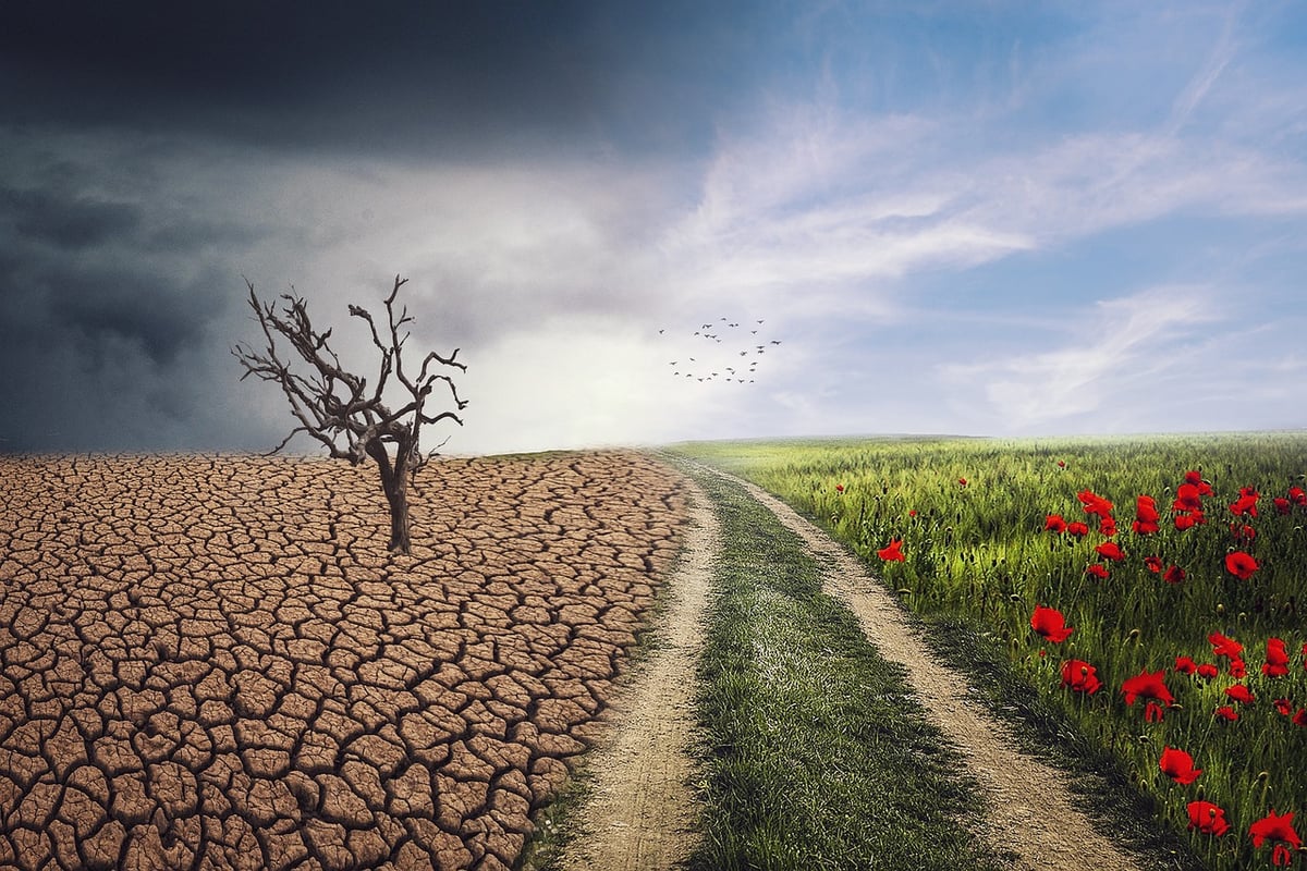 Le changement climatique dans la littérature contemporaine